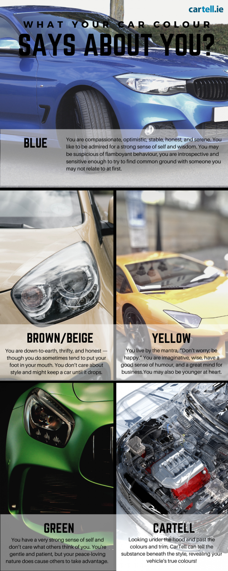 What Your Car Colour Says About You? Cartell Car Check